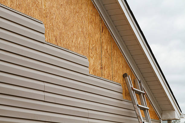 Professional Siding Repair technician working in Cortez, FL